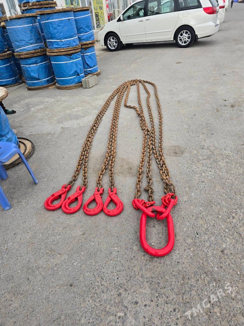 Zynjyr çalka - Ak bugdaý etraby - img 2