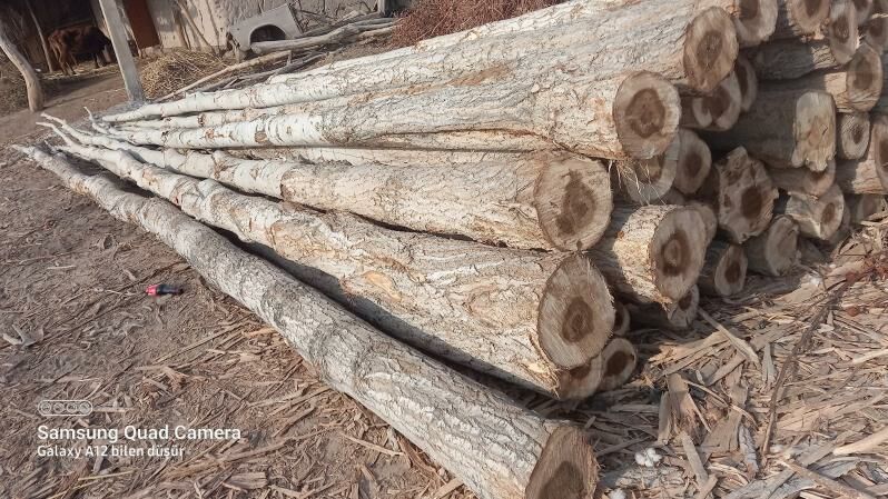 derek  ýurd - Gurbansoltan Eje - img 2