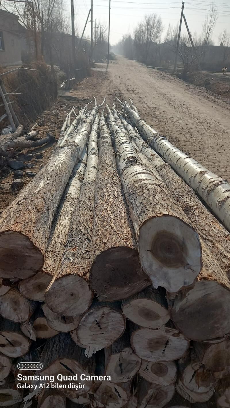 derek  ýurd - Gurbansoltan Eje - img 3