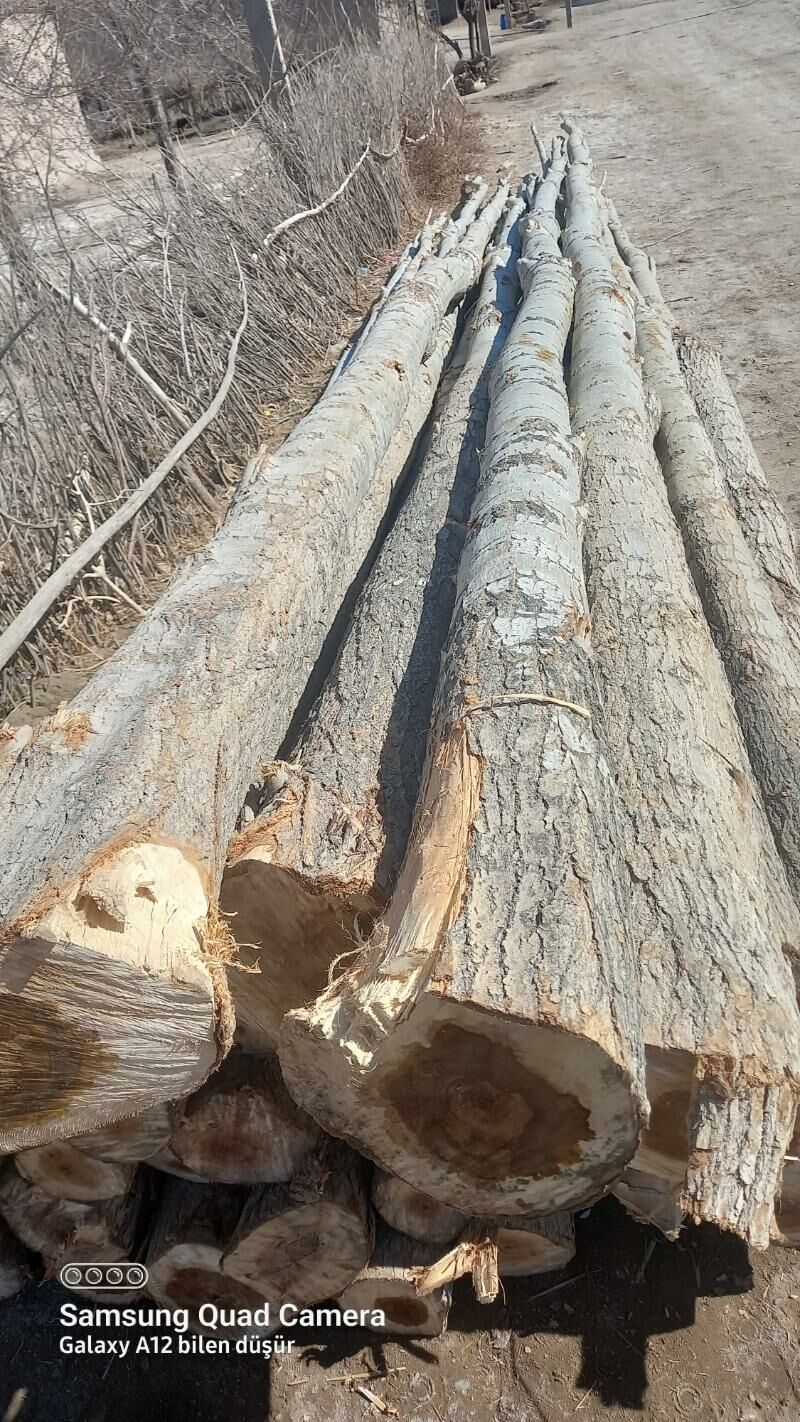 derek  ýurd - Gurbansoltan Eje - img 6