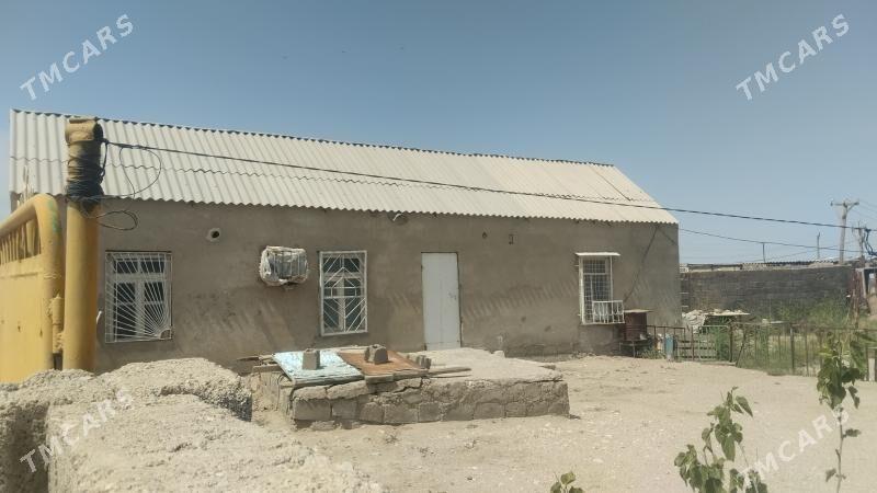 Arbita jay - Balkanabat - img 2