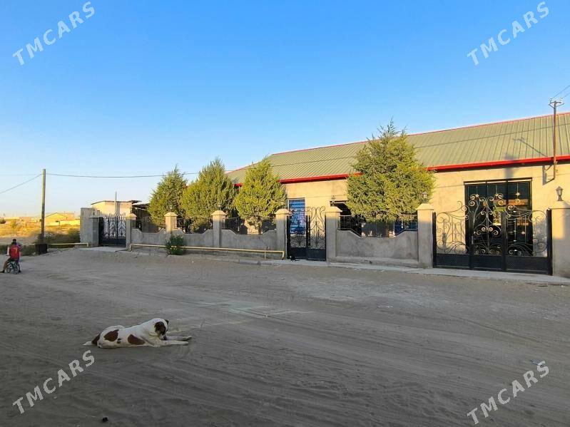 seydi arzuw seherce - Сейди - img 1