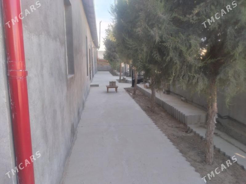 seydi arzuw seherce - Сейди - img 4