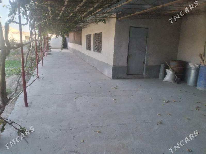 seydi arzuw seherce - Сейди - img 5