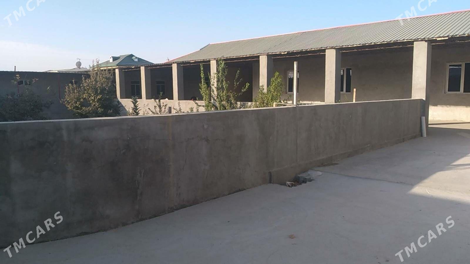 seydi arzuw seherce - Сейди - img 2