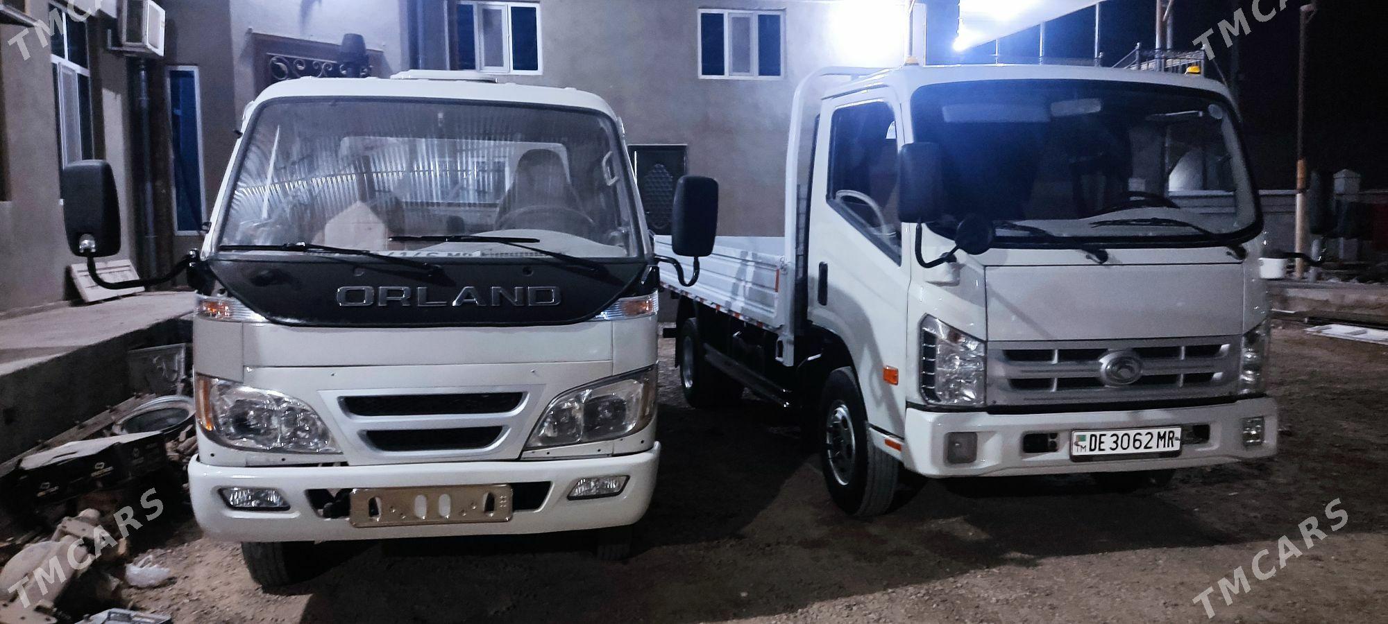 Forland H2 2014 - 200 000 TMT - Mary - img 5