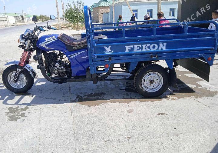 Fekon FK200-14G 2022 - 19 000 TMT - Бахарден - img 4