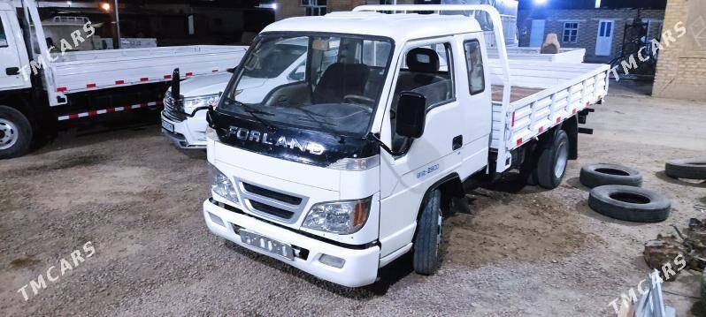 Forland H2 2009 - 83 000 TMT - Mary - img 1