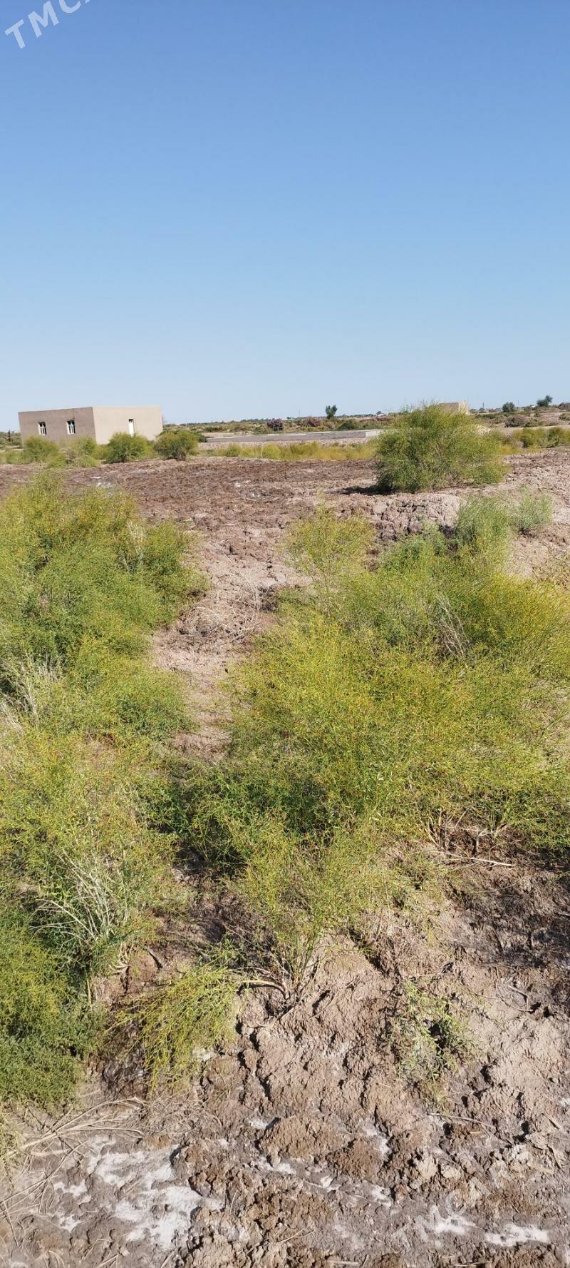 Jay orun - Болдумсаз - img 4