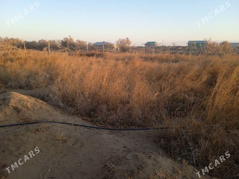 Sazak sitili - Ак-Бугдайский этрап - img 3