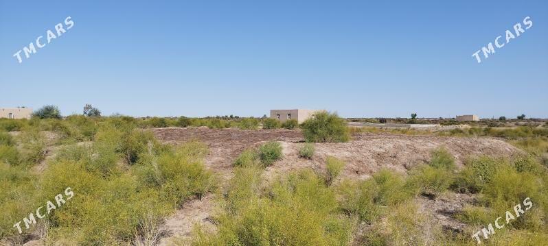 Jay orun - Болдумсаз - img 3