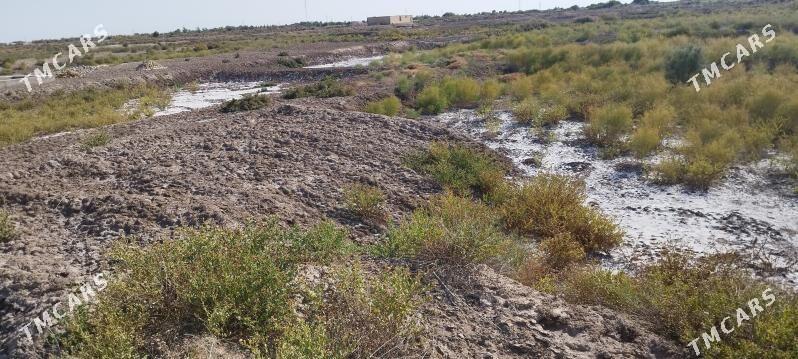 Jay orun - Болдумсаз - img 2