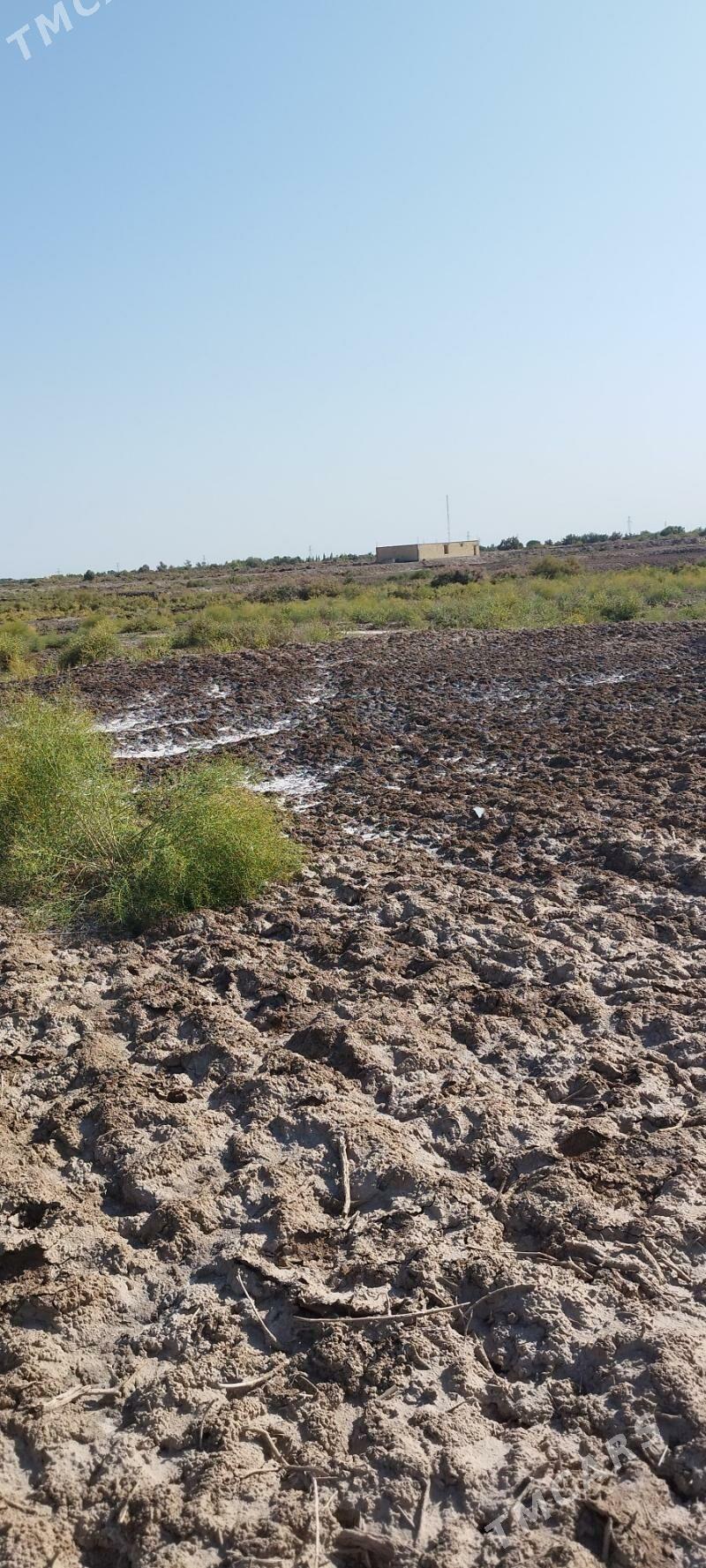 Jay orun - Болдумсаз - img 5