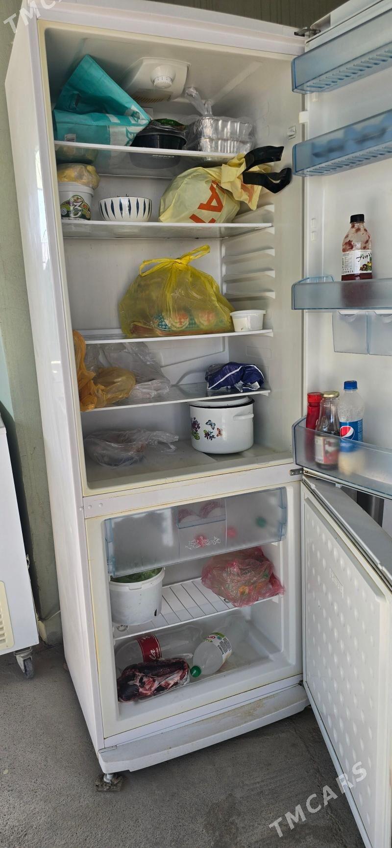 Holodilnik - Анев - img 2