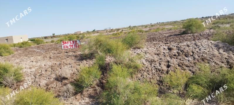 Jay orun - Болдумсаз - img 6