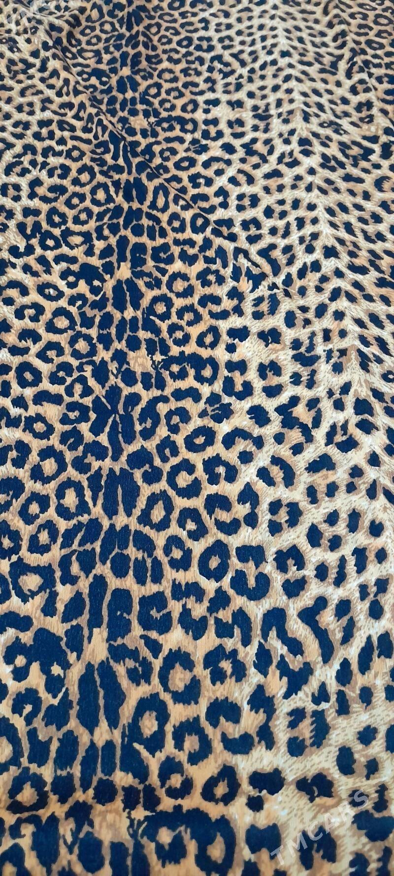 Koynek - Балканабат - img 1