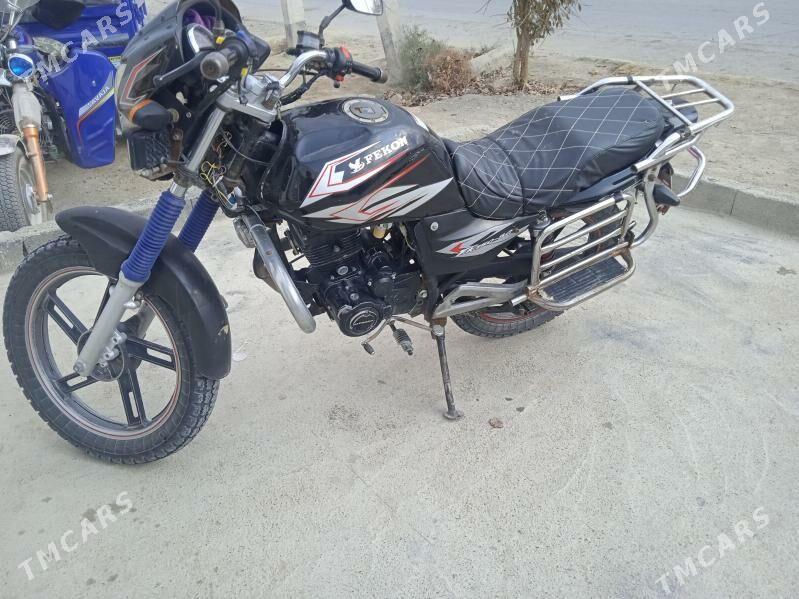 Fekon FK150-8G 2014 - 5 000 TMT - Бахарден - img 3