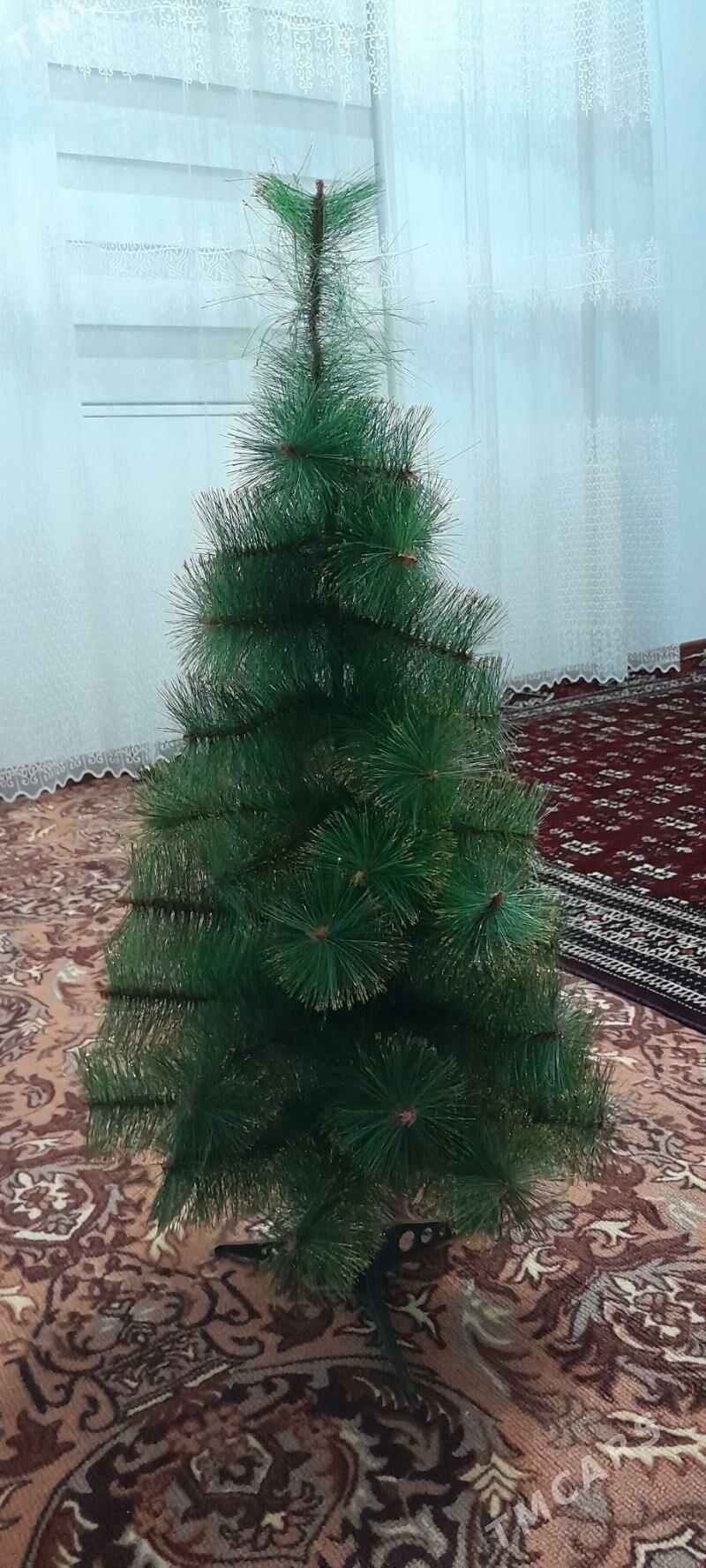 yolka - Balkanabat - img 1