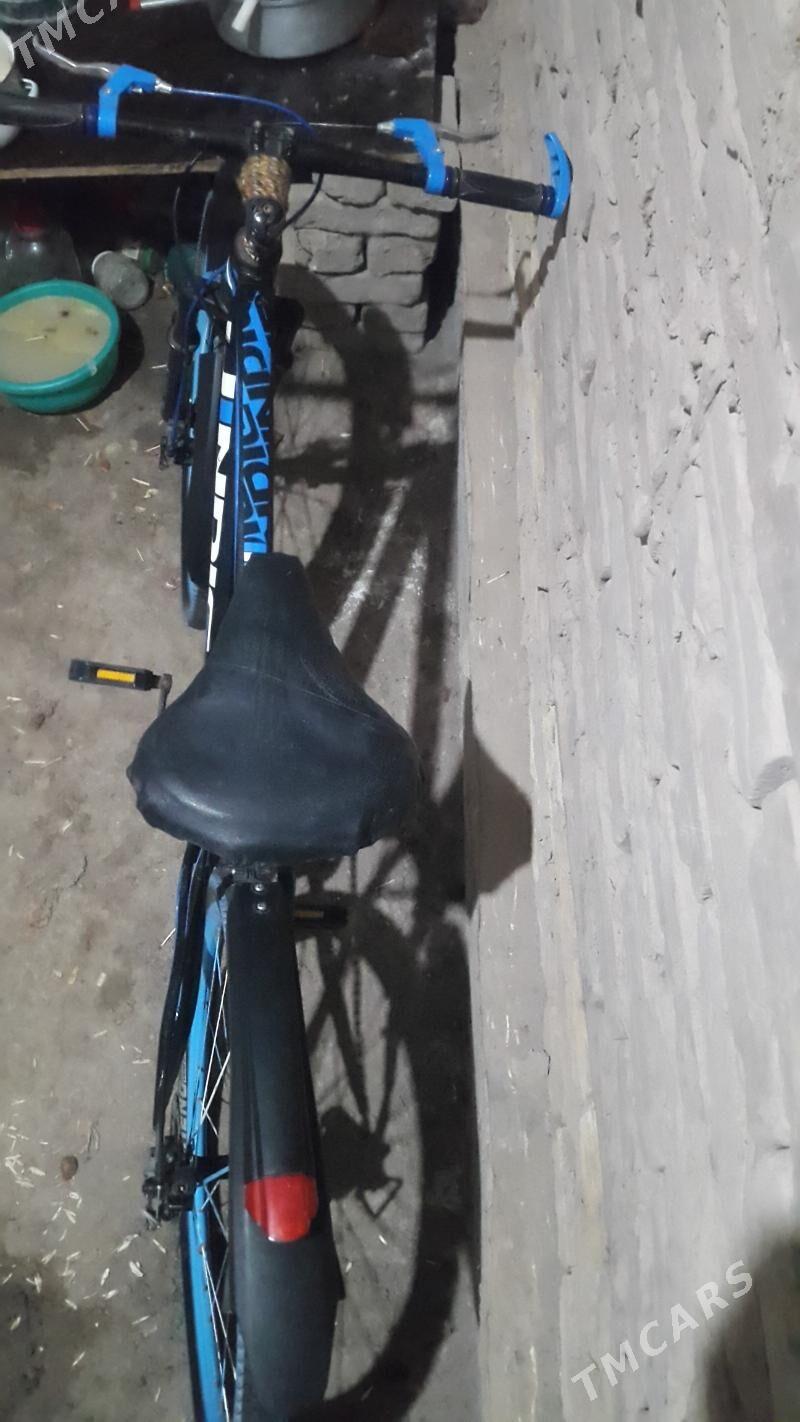 amersatr - Болдумсаз - img 3