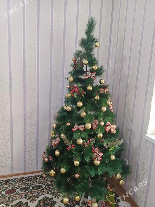 Yolka - Ашхабад - img 2