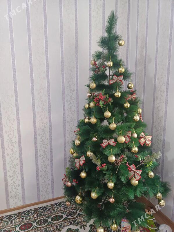 Yolka - Ашхабад - img 3