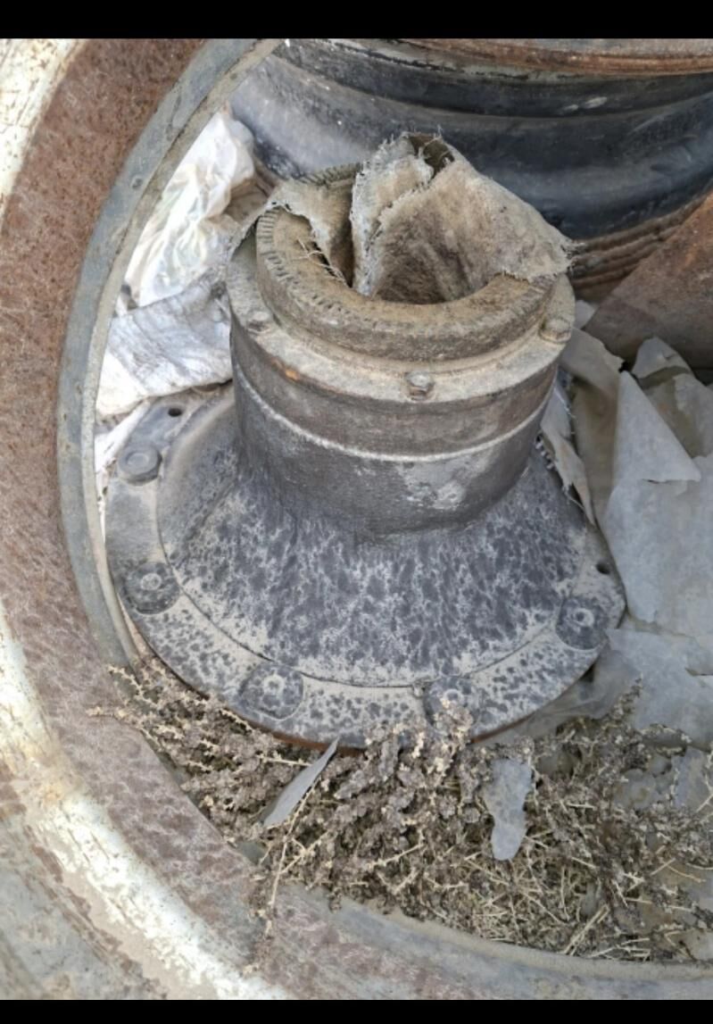 stupitsa maz 1 000 TMT - Balkanabat - img 2