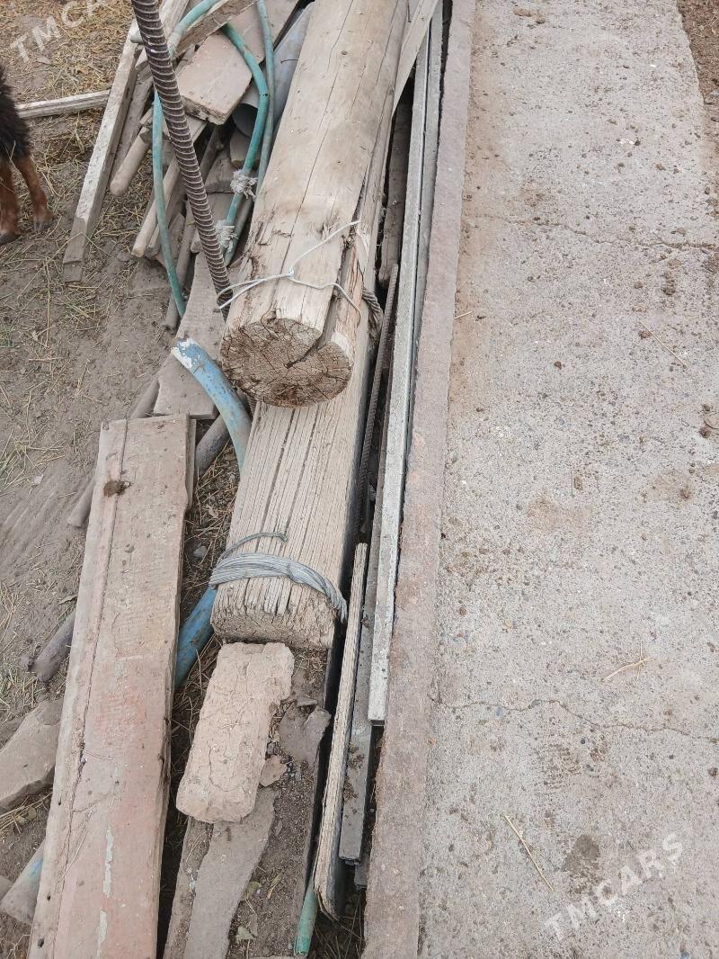 agaçlar - Gökdepe - img 1