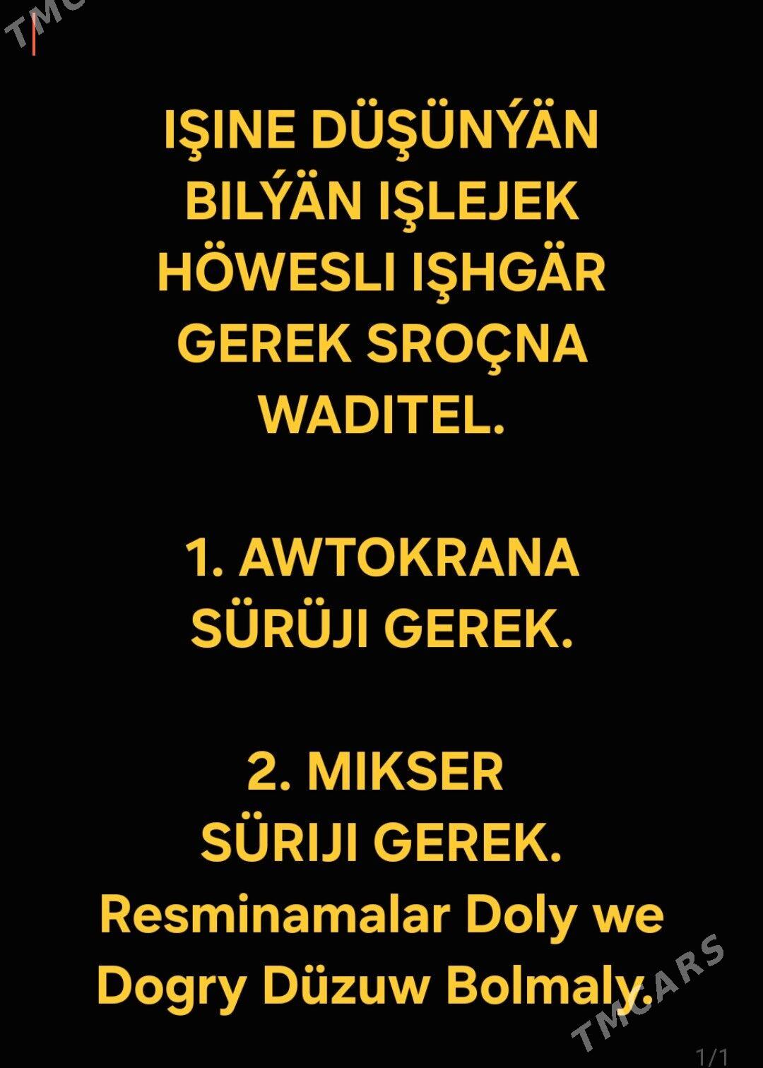 Şafýor Sürüji Gerek. - Кипджак - img 1