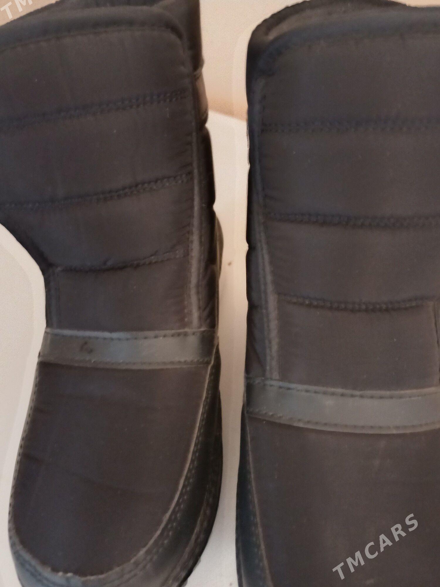 Alaska Adik - Daşoguz - img 2