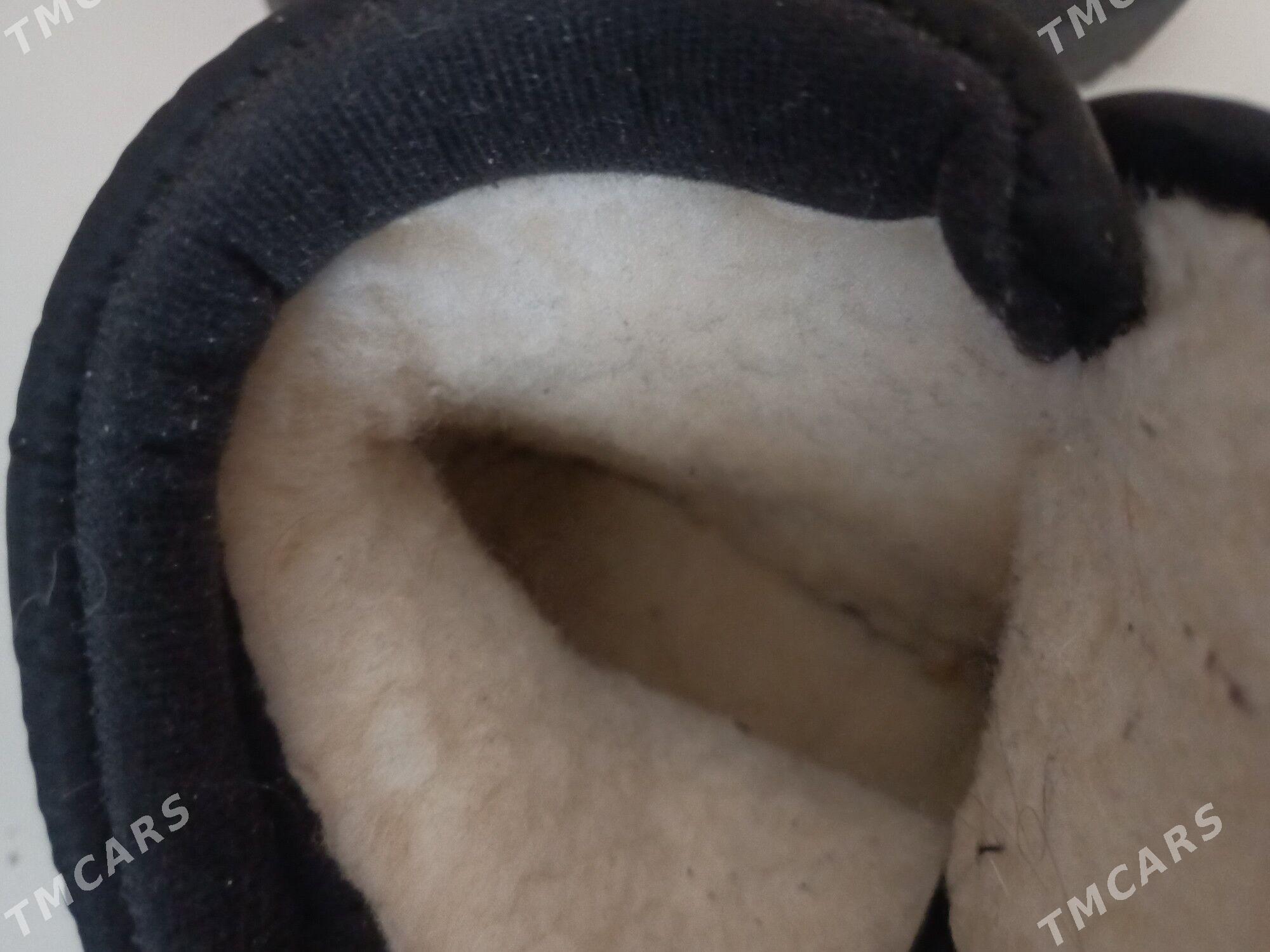 Alaska Adik - Daşoguz - img 3