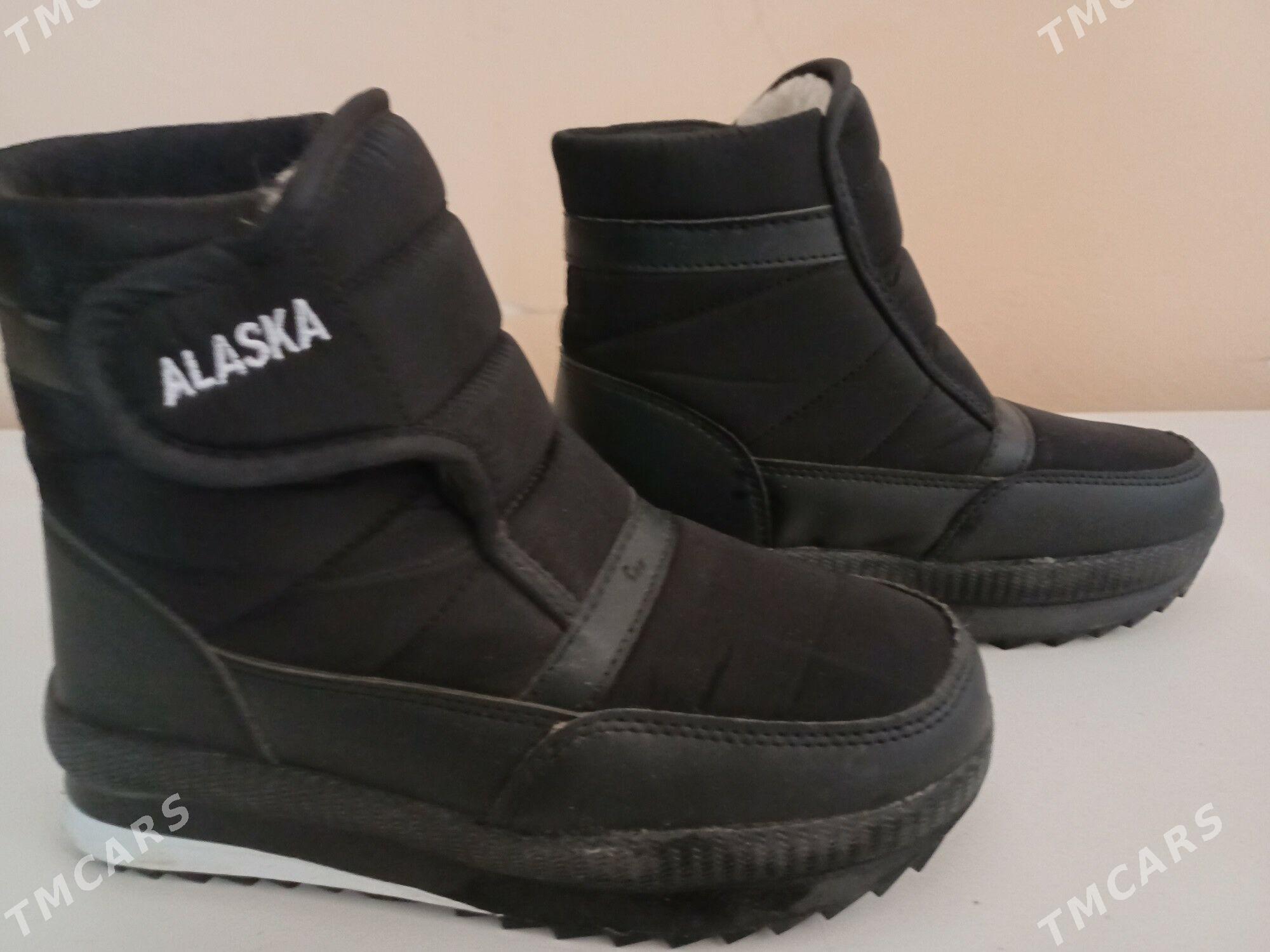 Alaska Adik - Daşoguz - img 1