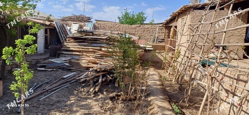 Ayna gapy agaclar - Görogly (Tagta) - img 2