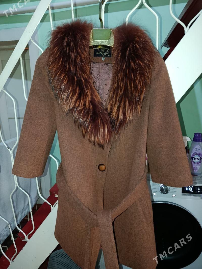 Palto - Daşoguz - img 1