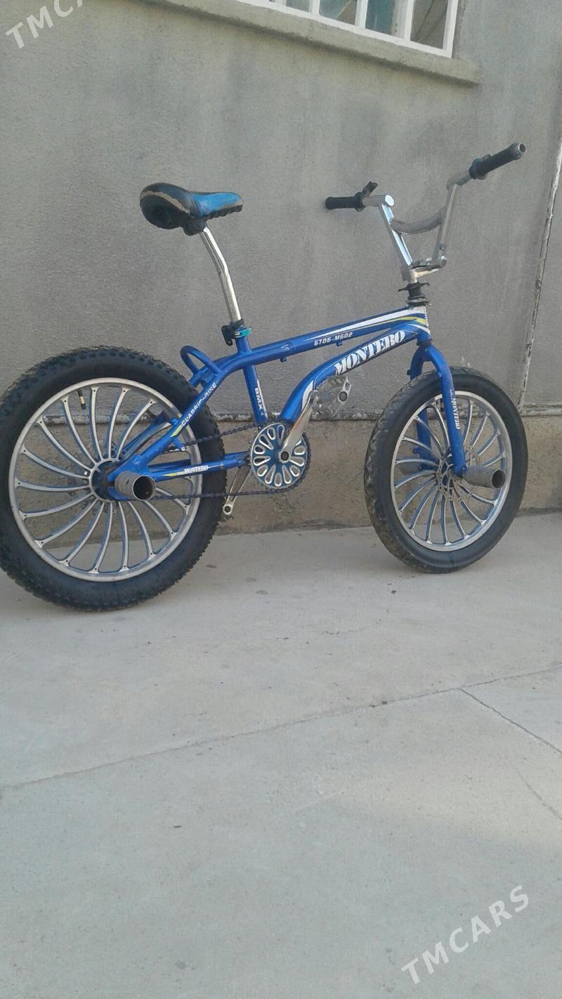 Tigr duga - Bäherden - img 2