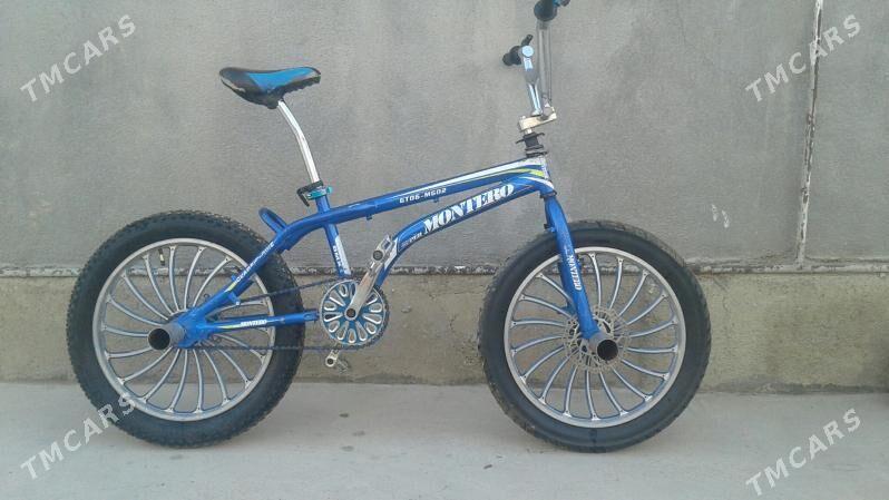 Tigr duga - Bäherden - img 4