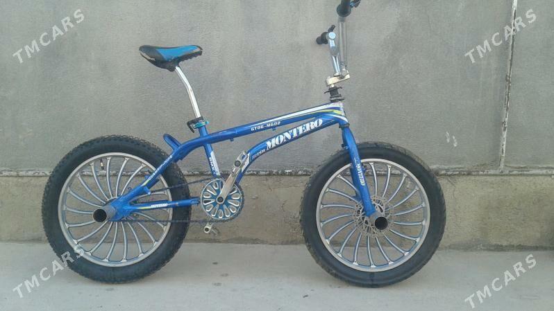 Tigr duga - Bäherden - img 5