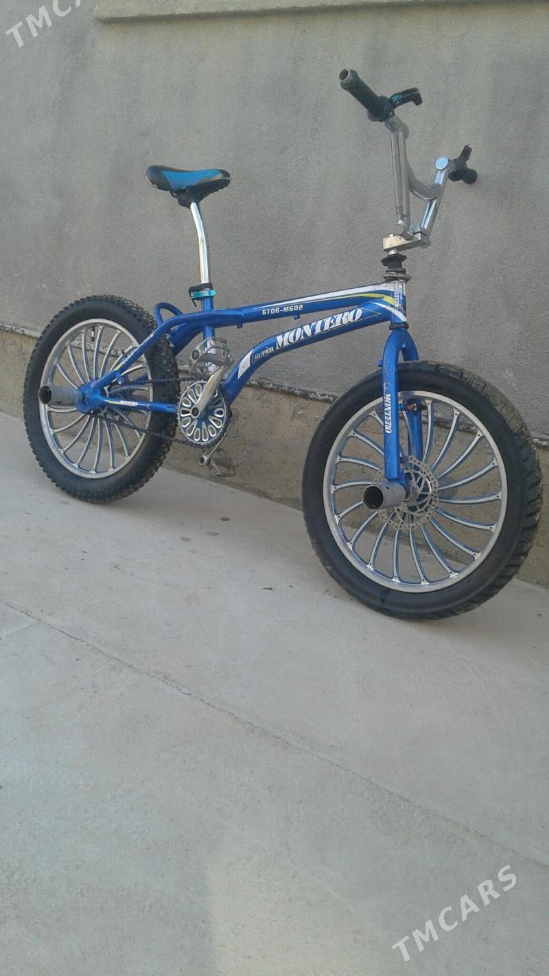 Tigr duga - Bäherden - img 3