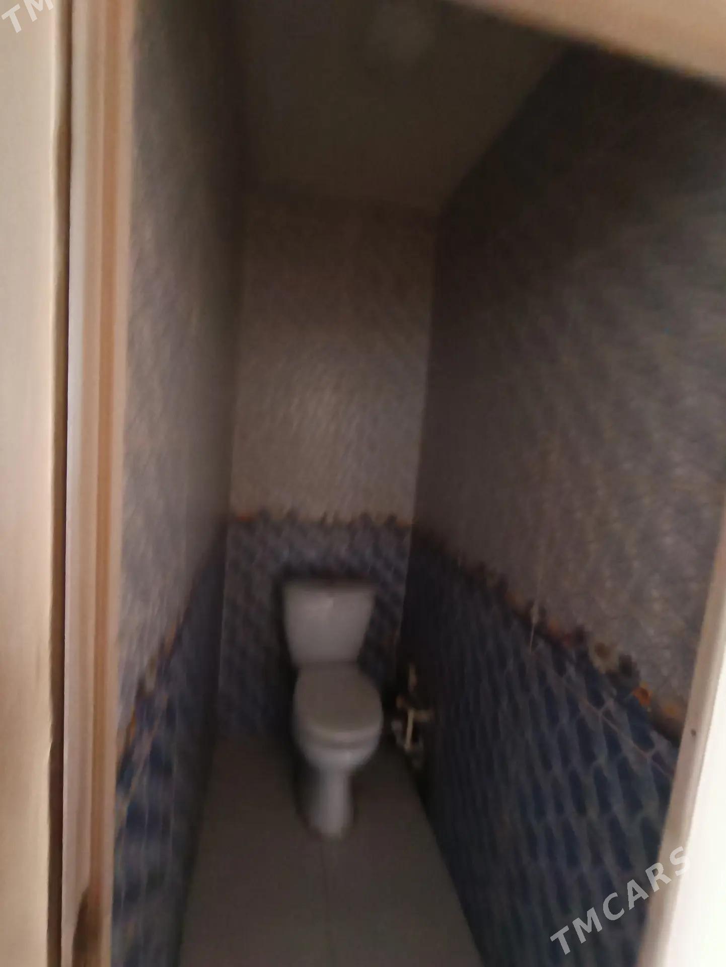 Гаудан А - Ашхабад - img 7