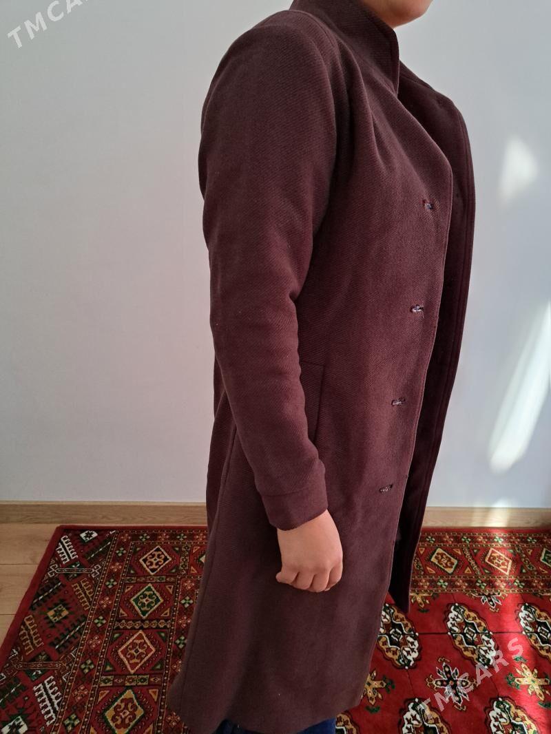 polto - 16-njy tapgyr - img 4