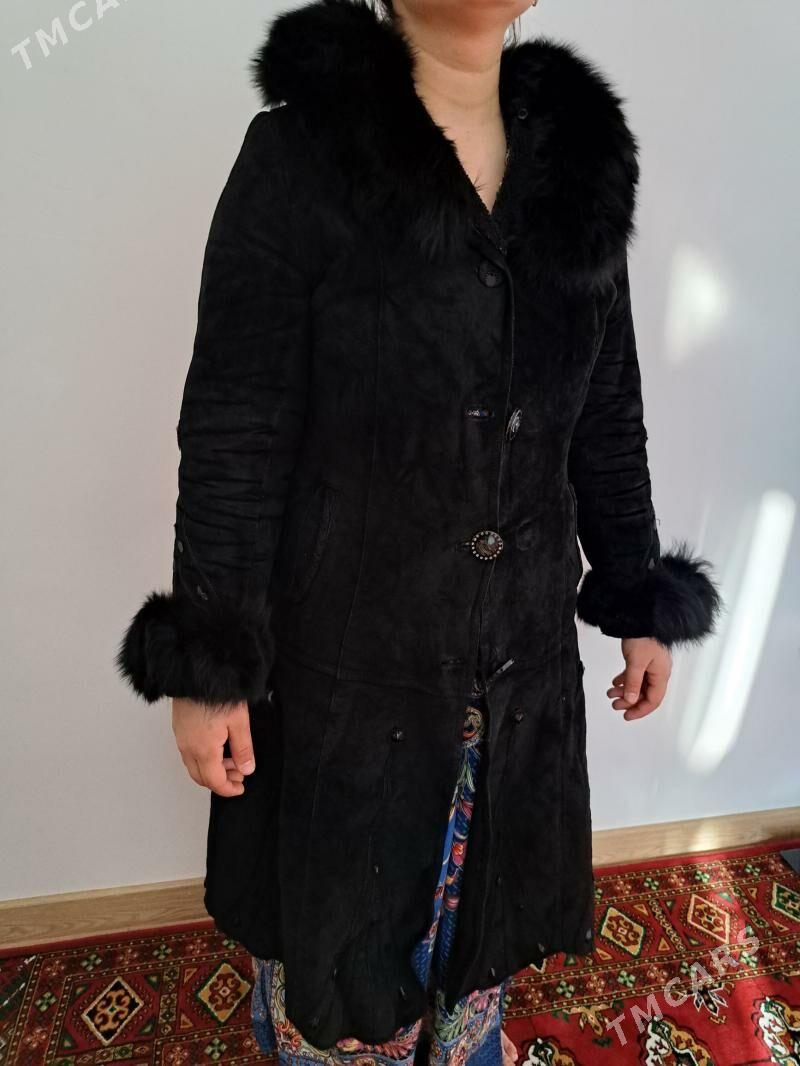 polto - 16-njy tapgyr - img 5