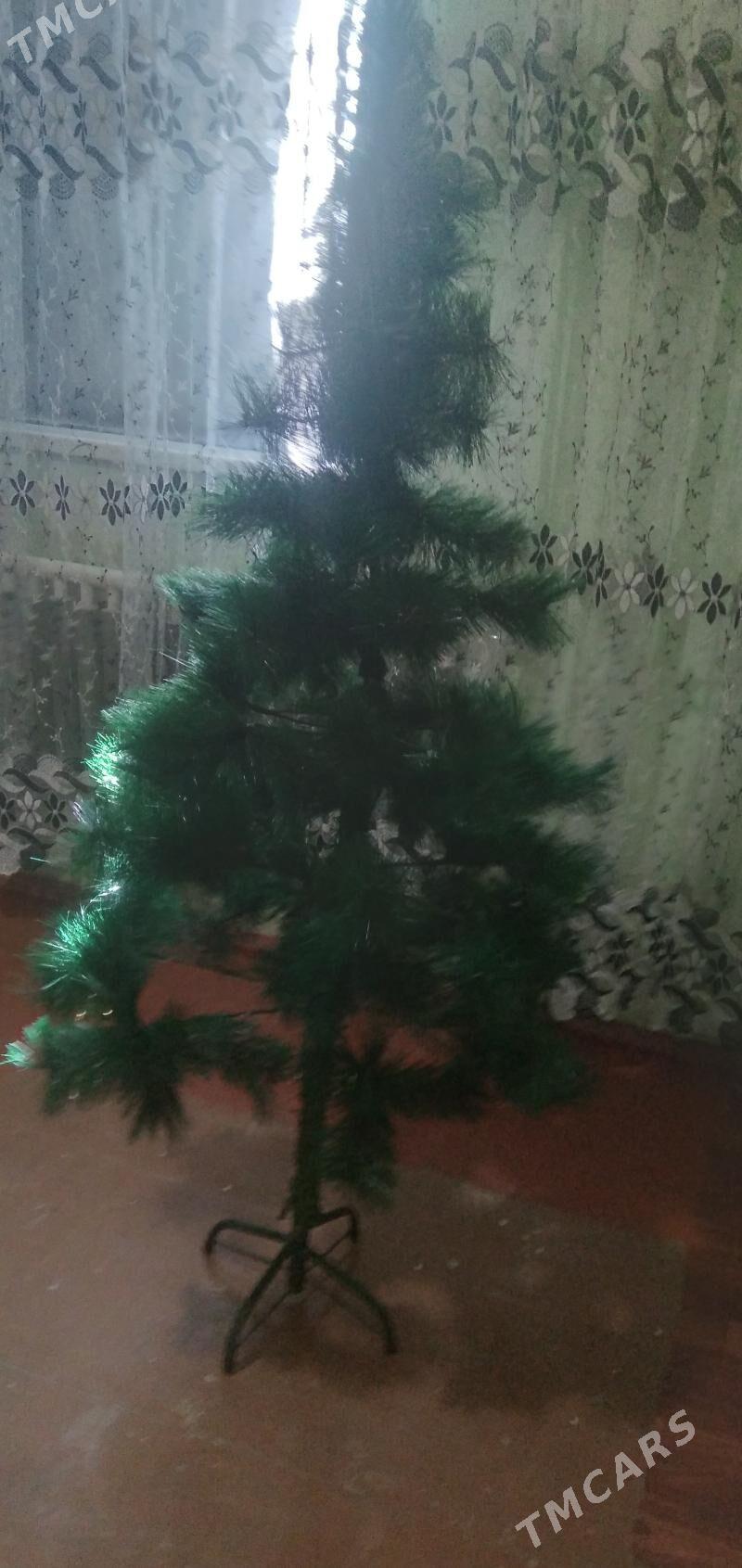 yolka - Гурбансолтан Едже - img 2