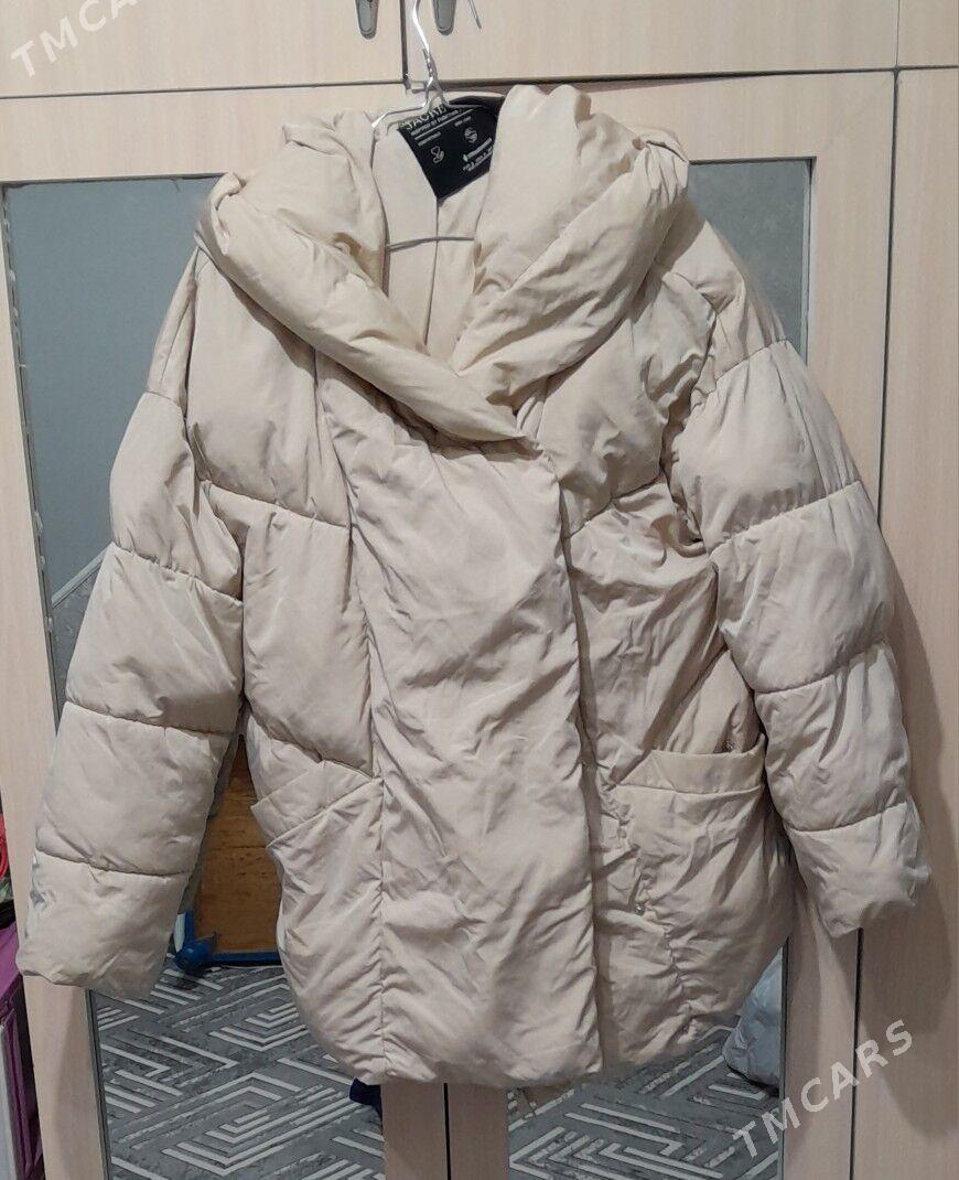 kurtkalar - Daşoguz - img 1