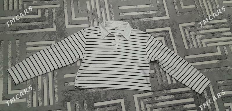 kurtkalar - Daşoguz - img 5