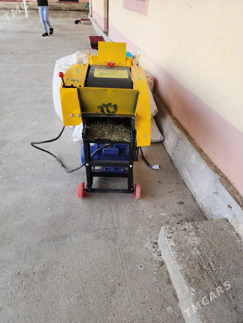 ot üweýän - Ýaşlyk - img 3