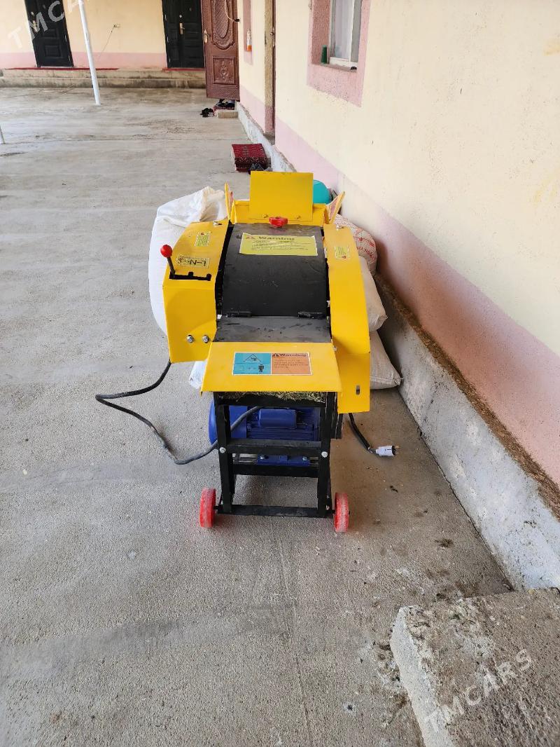 ot üweýän - Ýaşlyk - img 6