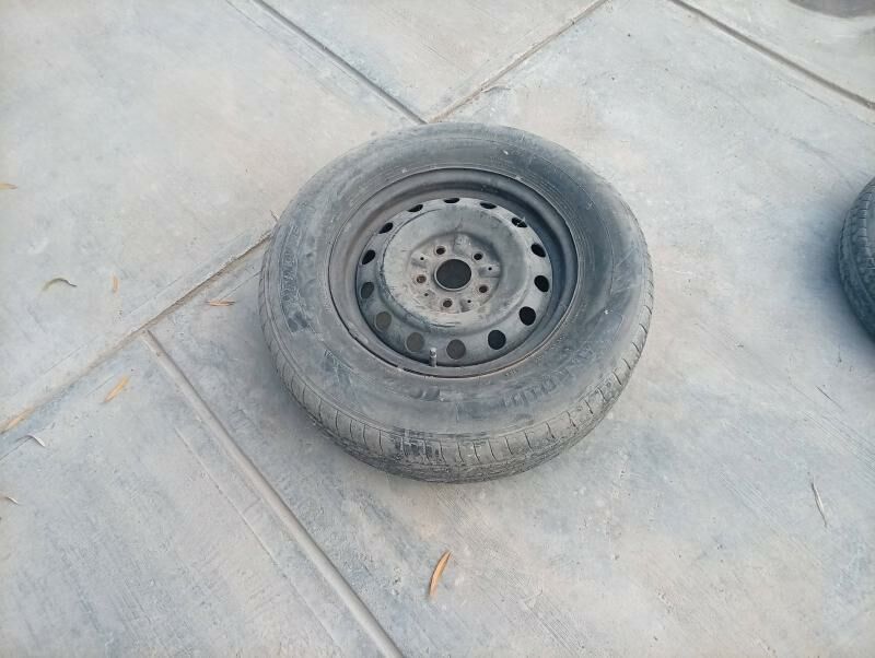 Versa zapaska 300 TMT - Бахарден - img 2