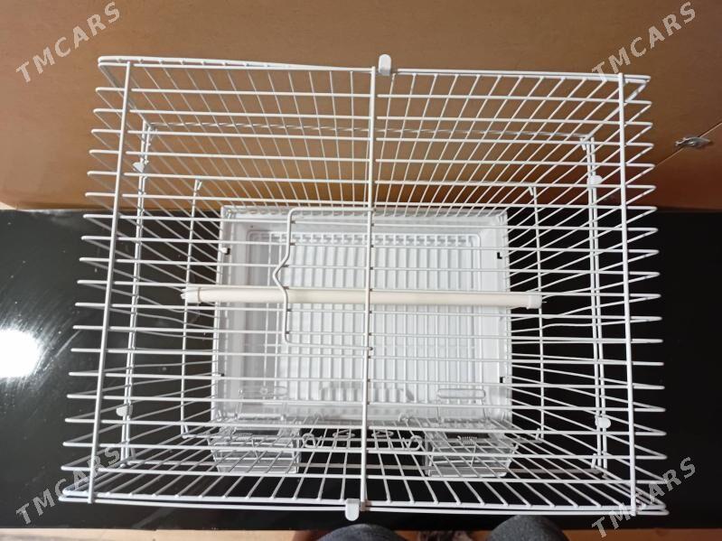 Popugaý kletka - Дянев - img 2