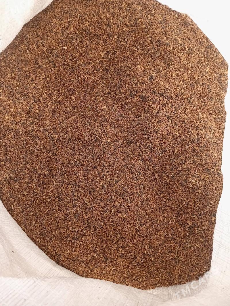 kunji - Mary - img 2