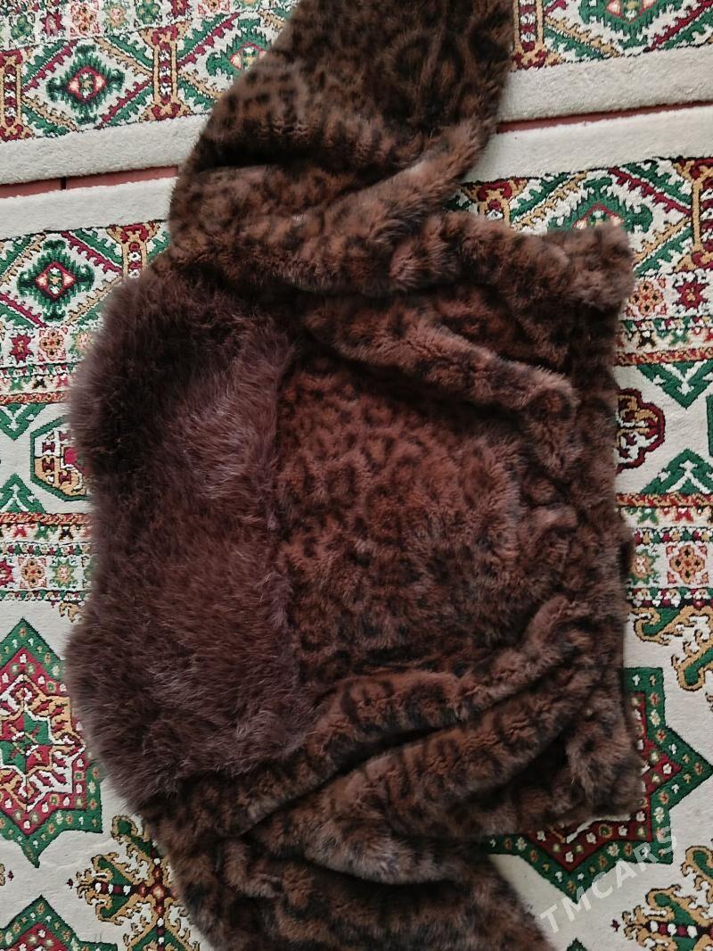 shuba - Daşoguz - img 3