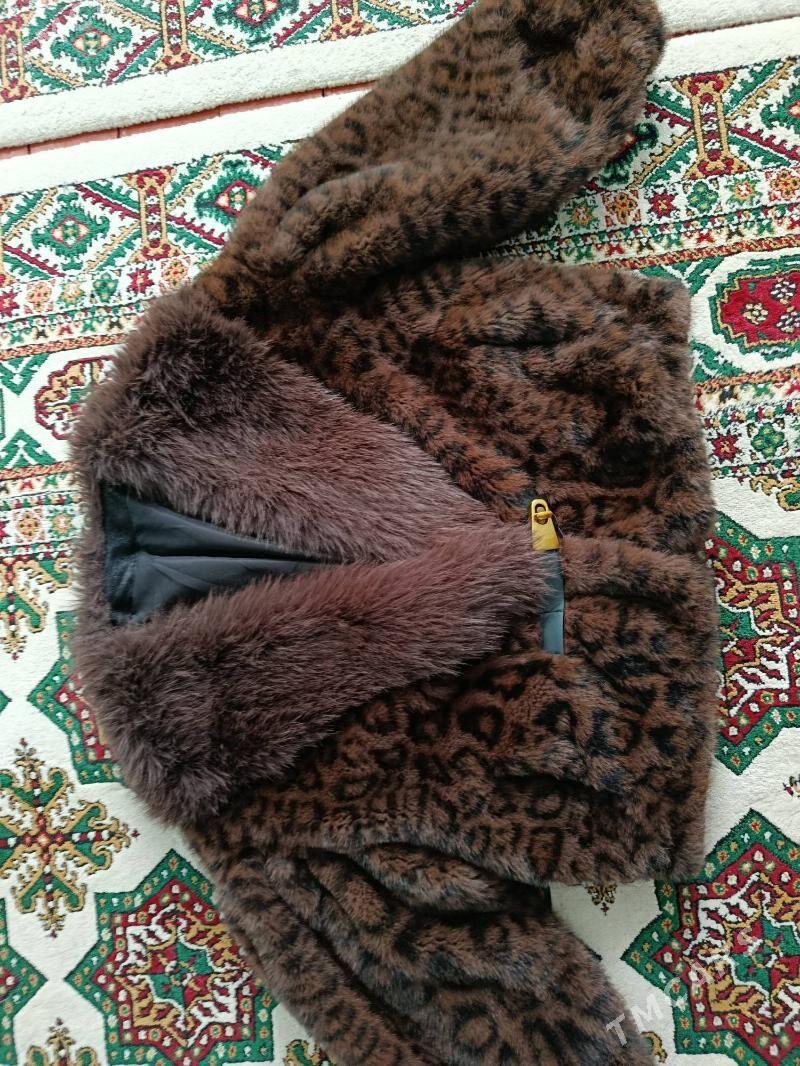 shuba - Daşoguz - img 2